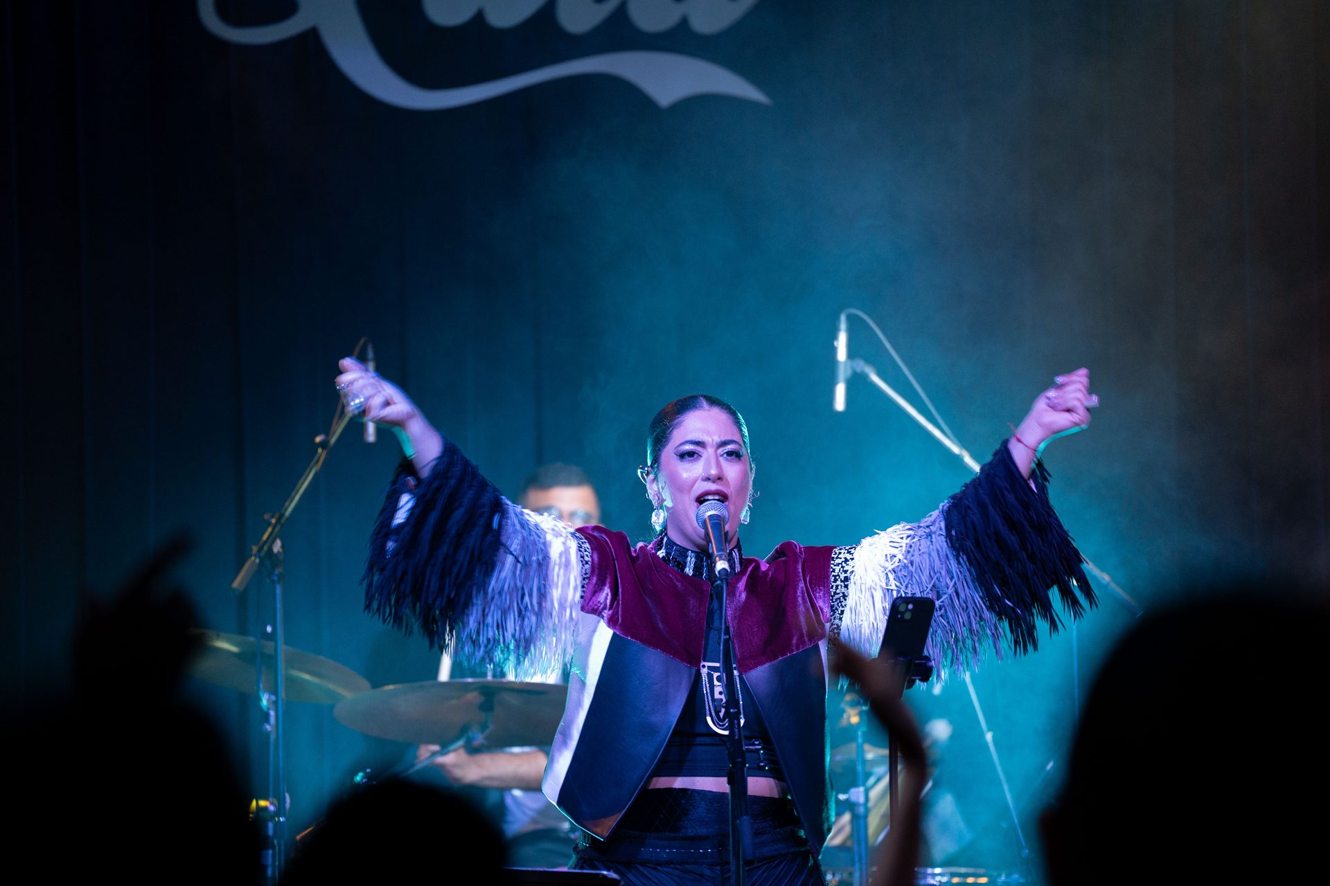 Saba Zameni — Singer-Songwriter & Vocal Coach | Toronto